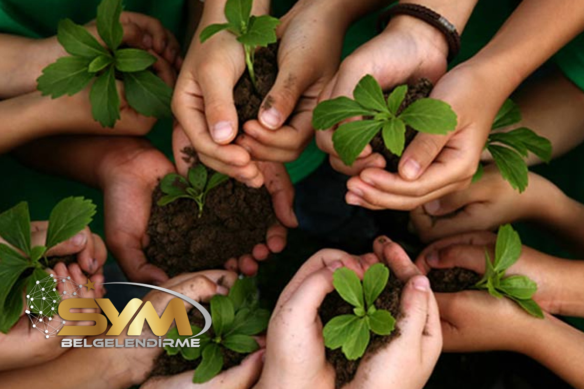 Sosyal Sorumluluk ve Sorumlu Yönetimi